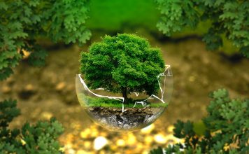 Développement durable